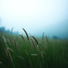 Fading Feelings