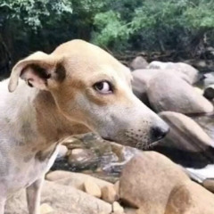 keep the window open