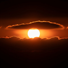 Sunlight in Disguise