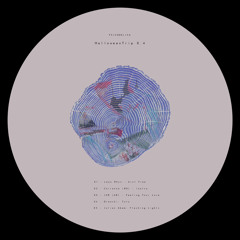 Flashing Lights (Original Mix) [Psicodelica]