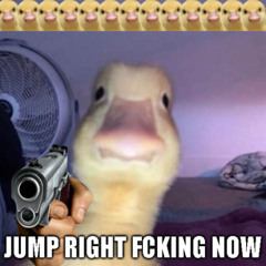 Duck Jump Party