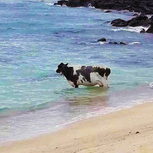 Methods Of Mellow - April 2022