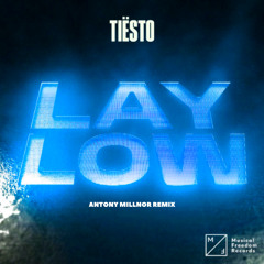 Tiësto - Lay Low (Antony Millnor Remix)