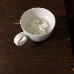 to say the least (les)