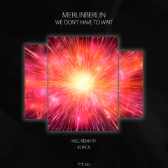 MerlinBerlin - We Don't Have To Wait