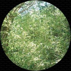 Sou Kitahara - Blind Alley