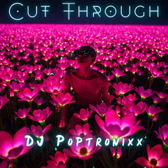Cut Through