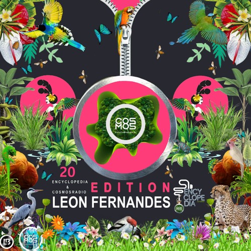 LEON FERNANDES - EDITION EPISODE 20 - COSMOSRADIO & ENCYCLOPEDIA 2022
