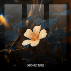 MaMan & Passenger 10 - Bloom in the Ashes