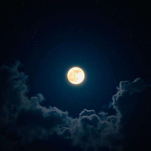 Where the Moon Meets the Stars (acoustic piano and vocals)