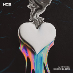 Rameses B & eerie - What You Did [NCS Release]