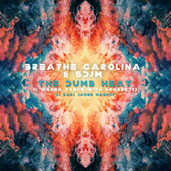 Breathe Carolina & SDJM - The Dumb Heat(Wanna Dance With Somebody)FILTERED DUE 2 COPYRIGHT