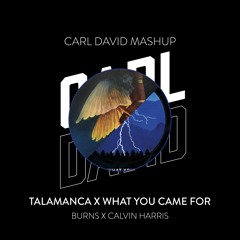 Talamanca X What You Came For (CARL DAVID Mashup)(PITCHED UP FOR SOUNDCLOUD)