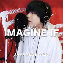 imagine if  / gnash Japanese Lyric ver. ( cover by SG )
