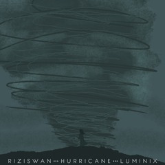 Hurricane (feat LuminiX)
