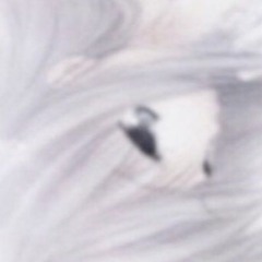 絶対に許せない