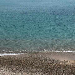 이럴 거면 그러지 말지