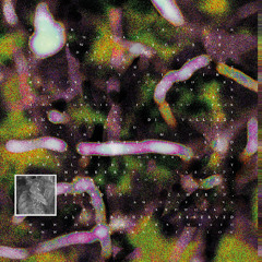 Premiere: Dean Grenier - View Source [HW002]
