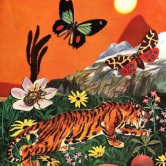 4EU3 - SUMMER NIGHTS 14