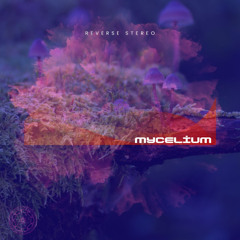 Mycelium