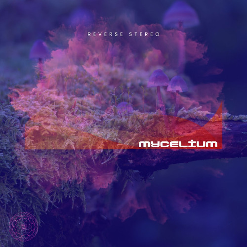 Mycelium