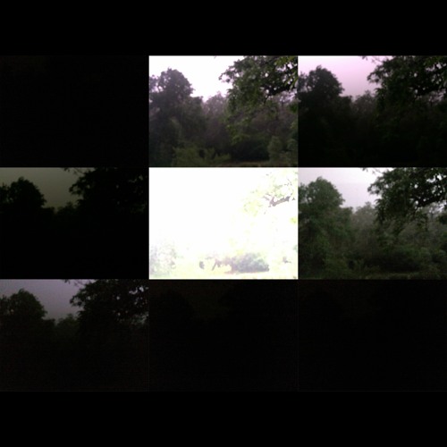 2020.11.10 Thunderstorm Meditation: Night Forest. Late Spring.