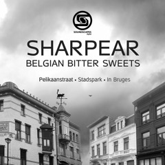 SharpEar - Pelikaanstraat (Original Mix)[Soundscapes Digital]