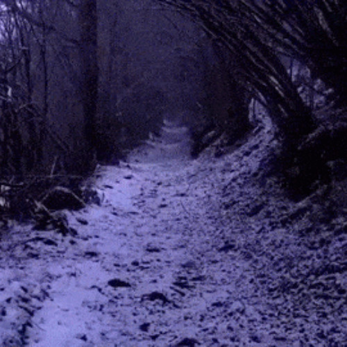 Winters Devoid - Forest In My Heart (Prod. youforia)