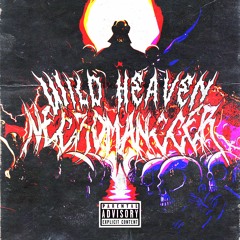 WILD HEAVEN - NECRXMANCCER -  [AGRESSIVE PHONK HOUSE] [MELODIC]