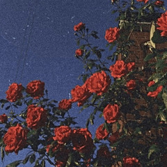 Surf Curse - Falling Apart [slowed + reverb]
