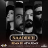 Download Video: Naadideh