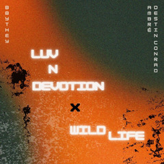 luv n devotion x wild life