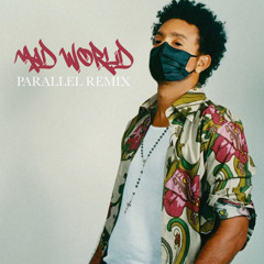 Shaggy - Mad Mad Wold feat. Sizzla Kalonji & Collie Buddz (Parallel remix)