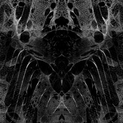 TSU 'Vulture Club' | 28/10/2021
