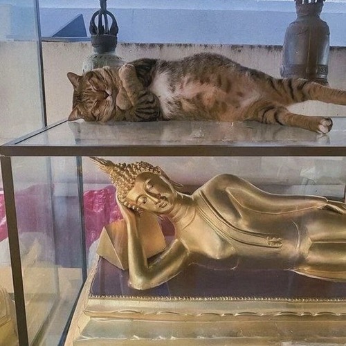 Scrabble (Prod. Garfield)
