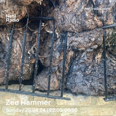 Zee Hammer - 28th April 2024