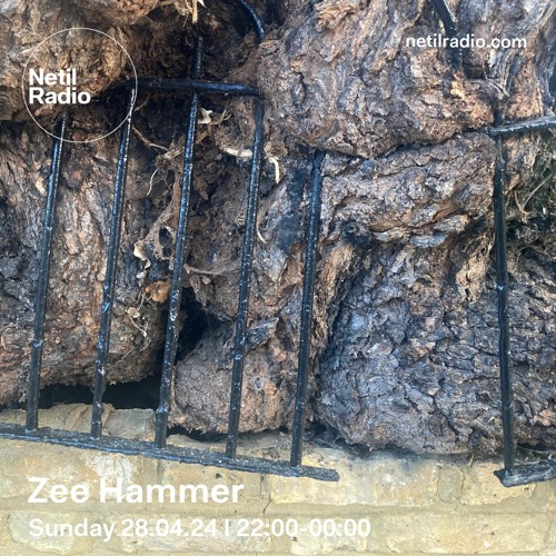 Zee Hammer - 28th April 2024
