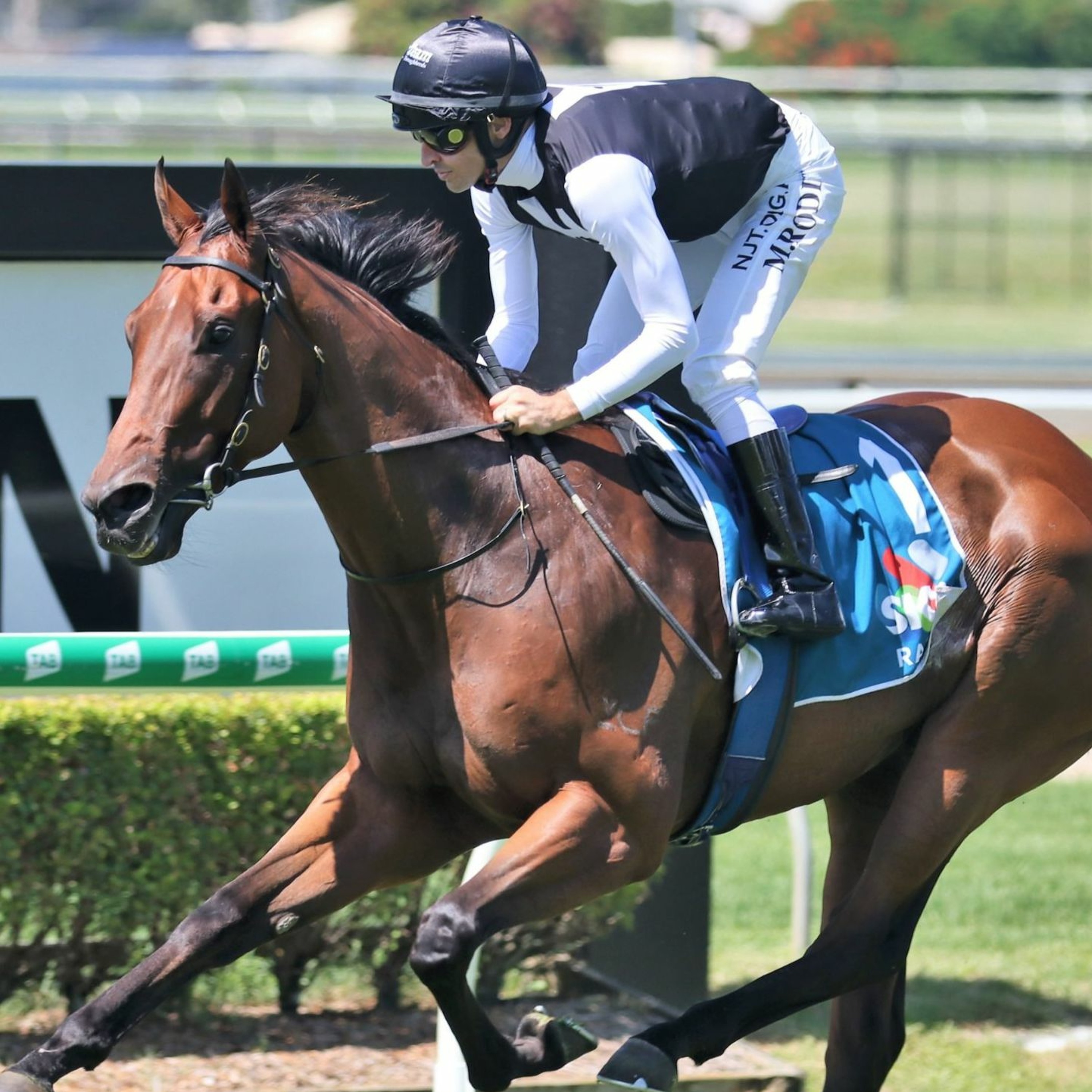 Doomben Cup Day Punting Preview