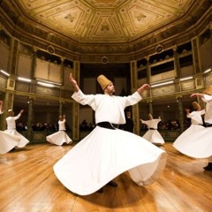 The Dancing Wu Li Masters *