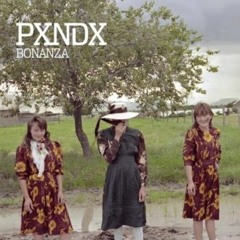 Huésped en casa propia - PXNDX