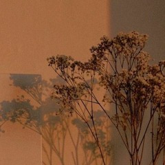 taylor swift - dorothea ( slowed )