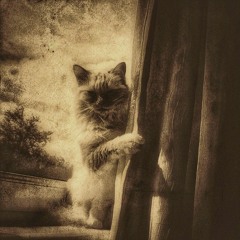 She's Not There (Rod Argent)