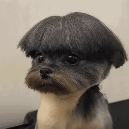 im sick asf but i wanted to record even tho i cant even speak properly (lakeside)