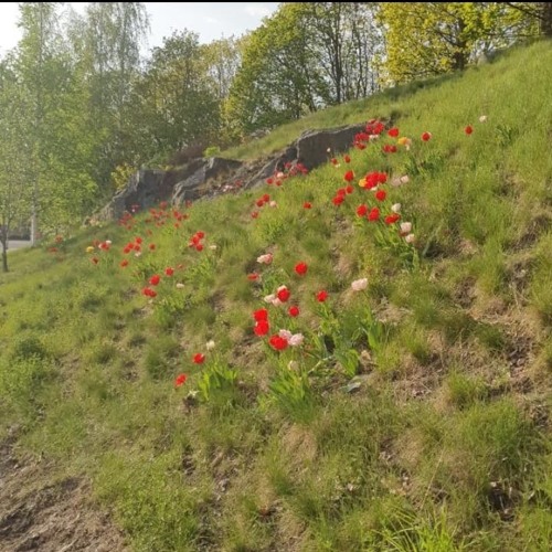 Leave_it_all_hereyouwontneeditwithme