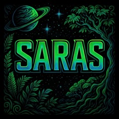 entering the space BY SARAS  2024