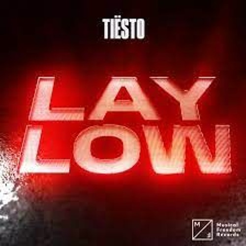 Tiësto - Lay Low (Acapella) FREE DOWNLOAD