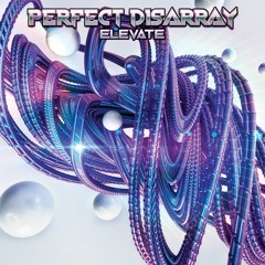 Perfect Disarray - Have Fun (Original Mix)