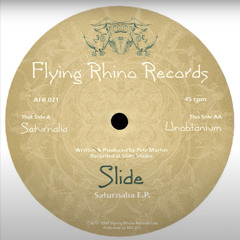 Slide- Saturnalia