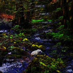 Nameless Stream (naviarhaiku590)
