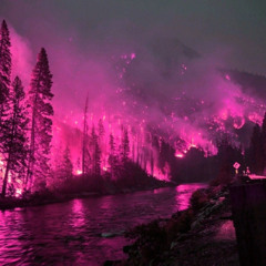 este es el bosque (prod. gomaa)